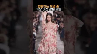 그리스신화에 나올 법한 비주얼의 엘프여신 모델