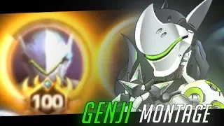 The Legendary Level 100 Genji - Heroes of the Storm