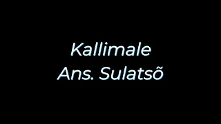 Ans.Sulatsõ