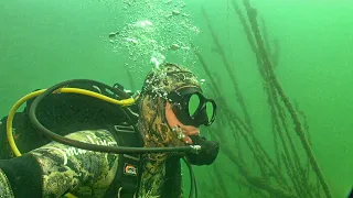 QUARRY DIVING. UNDERWATER SPRING. BELARUS 2021. NATURE RELAX