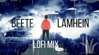 Beete Lamhien(Lofi Mix) | KK | The Train | Bollywood Lofi | Slowed + Reverb