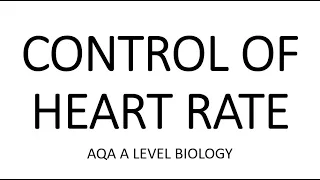 CONTROL OF HEART RATE - AQA A LEVEL BIOLOGY + EXAM QUESTIONS RUN THROUGH