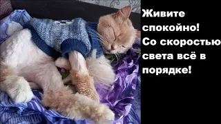 Живите спокойно! Со скоростью света всё в порядке!