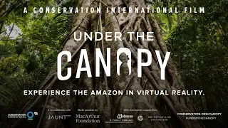 Under the Canopy