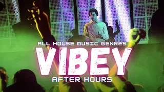 Vibey House Mix (After Hours) 2023