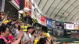 20190514 東京ドームにて「六甲おろし」大合唱