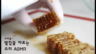 The Sound of a Honeycomb Cut (Cutting Sound) ASMR 🐝
