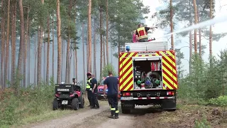 Waldbrand bei Halbe: Ein herausfordernder Einsatz für Feuerwehr