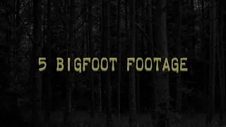 5 BIGFOOT Caught on Camera! (Authentic Footage Yeti Sasquatch)