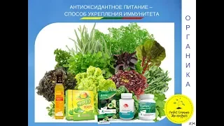 АНТИОКСИДАНТНОЕ ПИТАНИЕ – СПОСОБ УКРЕПЛЕНИЯ ИММУНИТЕТА  Д С  ДЕРГАЧЕВ