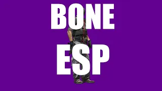 CREATE BONE ESP IN 10 MINUTES | C++