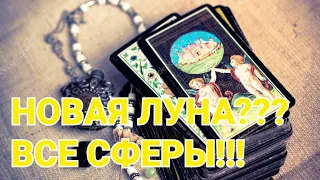 🎁Новая Луна🎁 Что принесёт? Все сферы. #онлайнрасклад #таросегодня