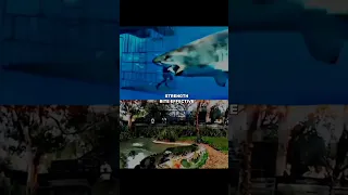 Saltwater Crocodile Vs Great white shark edit | ignore the cringe song.