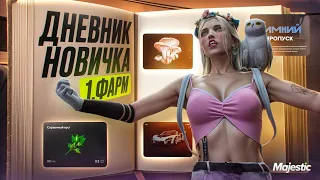 #1 ДНЕВНИК НОВИЧКА: ФАРМ, ВСЁ О ЗАРАБОТКЕ НА МАДЖЕСТИК GTA 5 RP | MAJESTIC RP