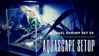 AQUASCAPING MY AQUAEL SHRIMP SET 30 AT HORIZON AQUATICS AND FACIAL HAIR DISASTER 2020