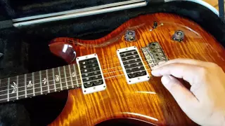 5 Things You May Not Know About A PRS Custom 24