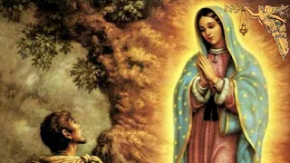 Preghiera alla Beata Vergine Maria di Guadalupe  per chiedere una grazia 🙏🙏🙏💖
