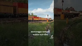 viral kereta batu bara..