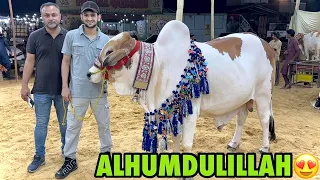 Finally cow leli 😍 | boht mushkil se mili he😕