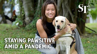 How guide dogs help the visually impaired navigate pandemic challenges