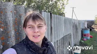 15 сентября 2023 г. Много дел по дому. ИЗ ГОРОДА В ДЕРЕВНЮ ПЕРЕЗАГРУЗКА.