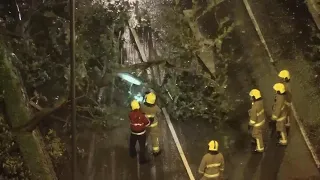 Hong Kong at near standstill as typhoon approaches