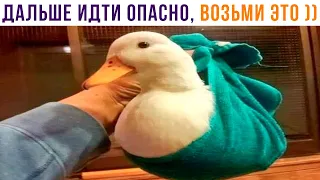 ДАЛЬШЕ ИДТИ ОПАСНО, ВОЗЬМИ ЭТО ))) | Приколы | Мемозг 1322