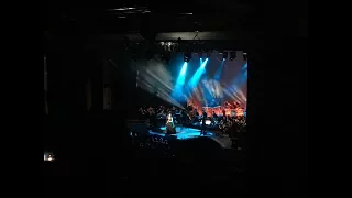 Evanescence Synthesis Live 2017