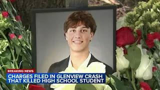 Man charged in Glenview crash that killed teen, injured 2 others