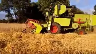 Claas Matador Gigant barley harvest 2016