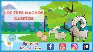 LOS TRES MACHOS CABRÍOS 🐐🐐🐐 LAS TRES PEQUEÑAS CABRAS. Cuento en Español para niños de 0 a 8 años. 🌻