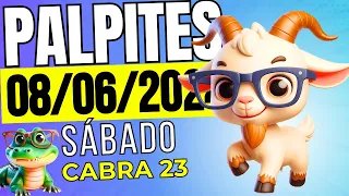 Palpites Do Dia 08/06/2024🍀TODAS AS LOTERIAS 🍀