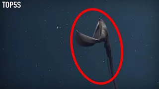 5 Creepy Deep Sea Creatures Caught on Film...