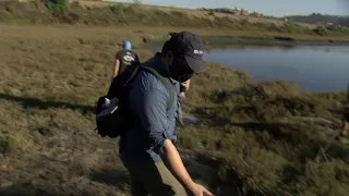 San Diego Coastal Marshes May Become Important Tools To Battle Climate Change