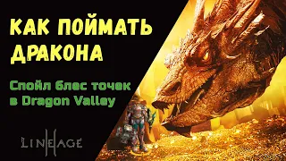 Спойл S блес випок, арморок в Dragon Valley   Долина Драконов Подробный гайд