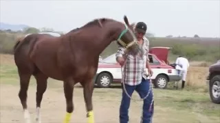 carreras de caballos carril buenavista Etla oaxaca