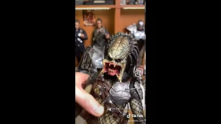 Hottoys Wolf Predator 2.0 Unboxing