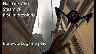 Half-Life Alyx & BoneWorks