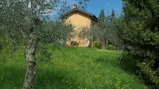 Pesto making in a beautiful ligurian farmhouse in Levanto
