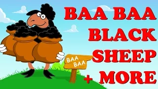 Baa Baa Black Sheep | Wheels On The Bus | Pat A Cake Plus More Nursery Rhyme Kids Tv