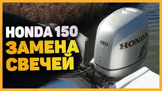 Лодочный мотор Honda 150  Замена свечей зажигания