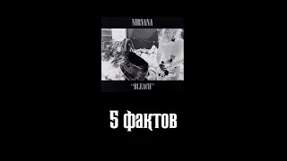 5 фактов о Nirvana - Bleach (1989)