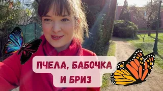 Эмили Дикинсон "In the name of the bee" // Анализ стихотворения