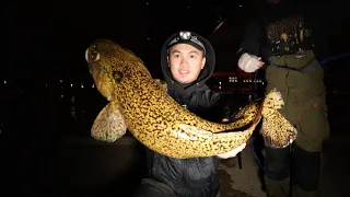 How to Catch Burbot / Eelpout From Shore