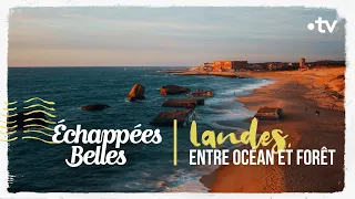 Les Landes, entre océan et forêt - Échappées belles