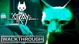 STRAY Full Gameplay Walkthrough / No Commentary 【FULL GAME】 1440p - The Most Beautiful Cat Game