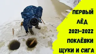 ПЕРВЫЙ ЛЕД 2021-2022!!! ПОКЛЁВКИ Щуки и Сига!!!