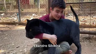 Hora de relaxar com a criançada do Instituto Onça Pintada 😜🐆🐈‍⬛❤️💙