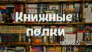 Мои КНИЖНЫЕ ПОЛКИ! Эксклюзивная классика и любимые современные писатели