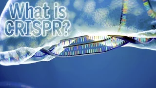 What Is CRISPR?